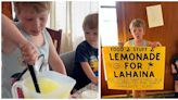 Niño recauda $17 mil dólares vendiendo limonada para ayudar a víctimas de incendios forestales