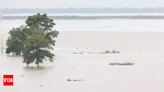 8 more people die as flood situation remains grim in Assam | India News - Times of India