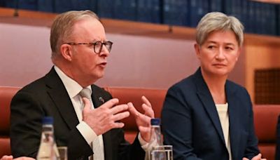 Anthony Albanese and Penny Wong fall for Hamas’ ‘propaganda trick’