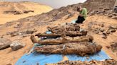 Excavators studying ancient Egyptian tombs discovered that even the ultra-wealthy suffered from disease and malnutrition