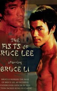 Fists of Bruce Lee
