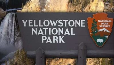 Washington man sentenced for thermal trespass at Yellowstone National Park