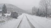 Así nieva en Mendoza: fotos y videos del manto blanco y cómo está la ruta 7 | Sociedad