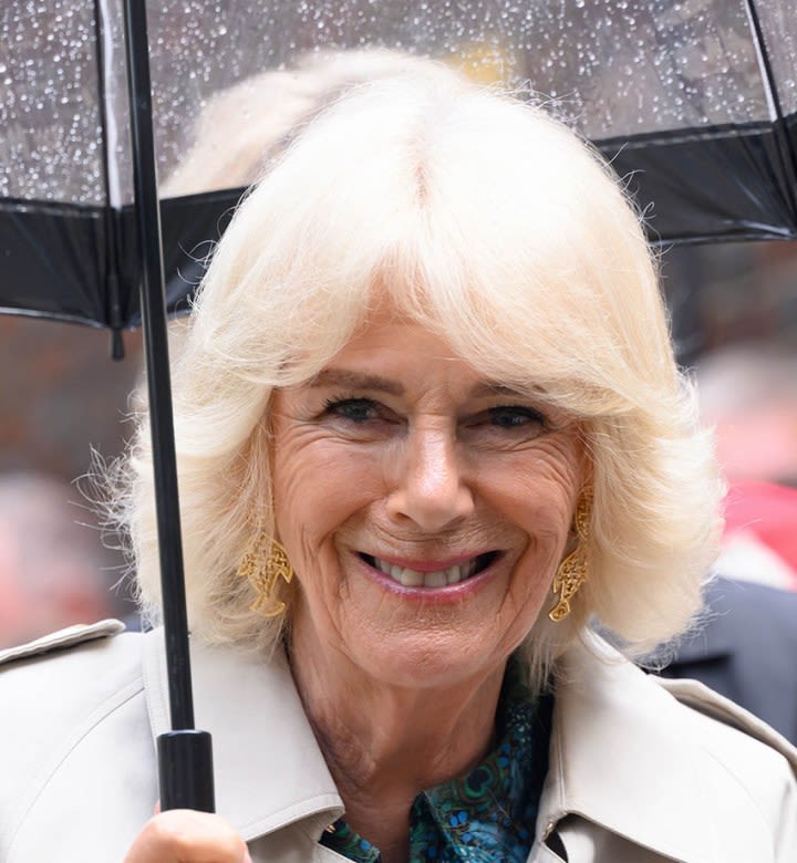 Hold on—Why Did Queen Camilla Just Wear This Out-There Animal Print Three Times in Two Weeks?!