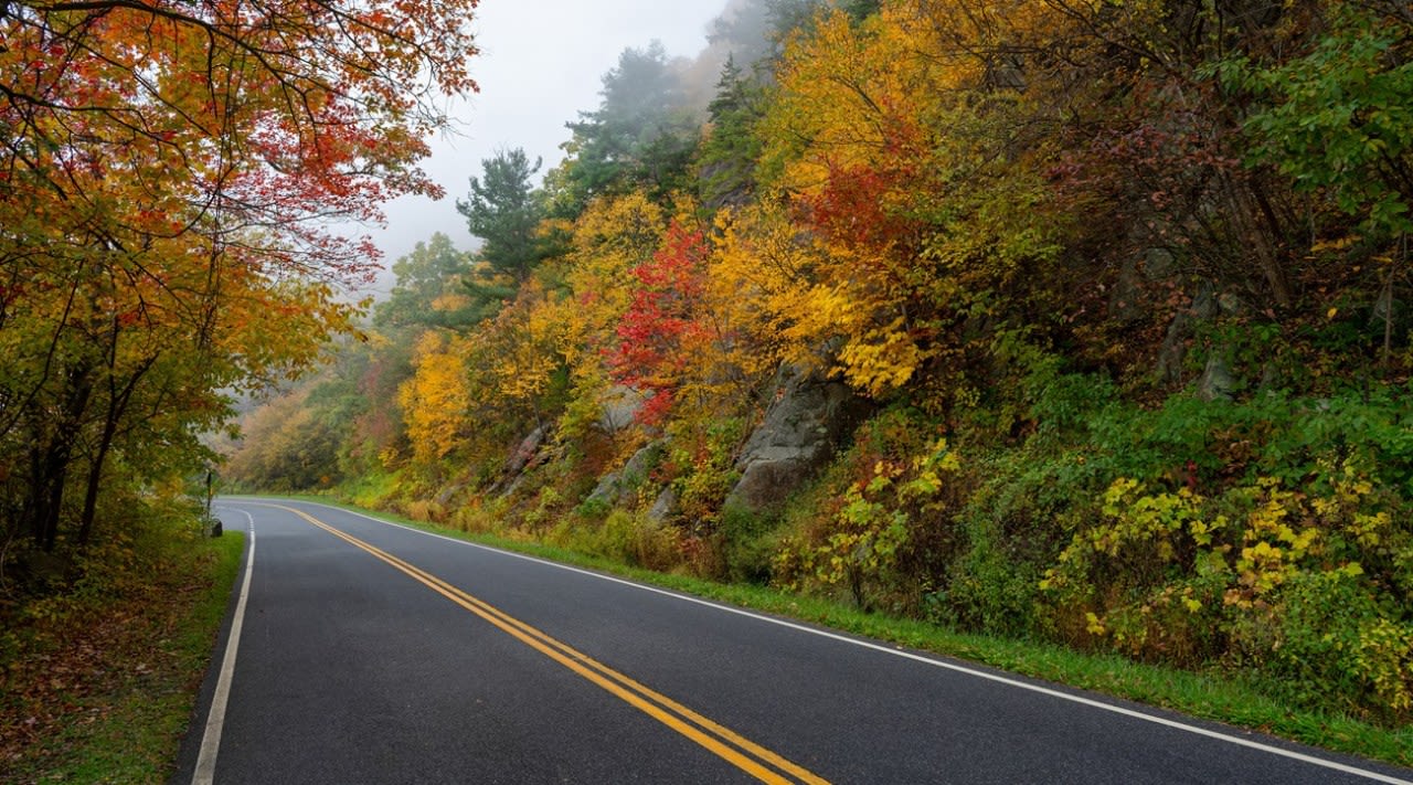 Everything you need to know about Skyline Drive in Virginia’s Shenandoah State Park