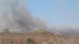 Incendio arrasa con bosques y monte