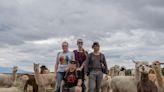 How the trans alpaca ranchers of Custer County, Colorado, are forging a new frontier