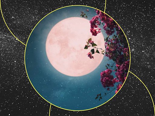 All About May's New Moon and What It Means for Your Zodiac Sign