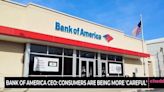 Bank of America Sees Consumer Spending Slowdown