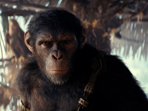 'Kingdom of the Planet of the Apes' reigns at the box office with $56.5 million opening