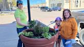 Volunteers needed to help plant downtown flowers