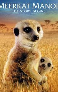 Meerkat Manor: The Story Begins