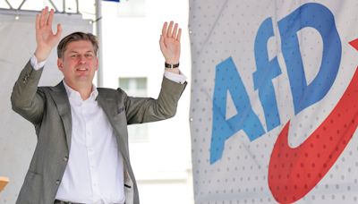 El candidato de AfD a las europeas deja la cúpula del partido ultra tras sus declaraciones sobre las SS