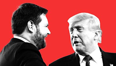 JD Vance spilled what Trump said on the phone when he asked him to be his running mate