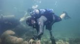 Veteranos del ejército hacen catarsis al plantar corales para salvar los arrecifes