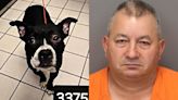 Newly adopted dog found decapitated at Fort De Soto, owner arrested: deputies