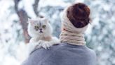 32 best cat breeds for cold climates