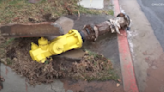 The vulnerability of San Diego's fire hydrants