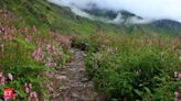 Valley of Flowers on your trekking bucket list? Know these before going - Breathtaking beauty