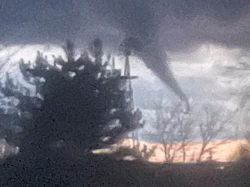 Trees down west of Madison as Midwest storm spurs tornadoes and injuries in state of Iowa