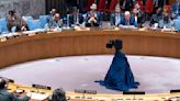 UN Security Council