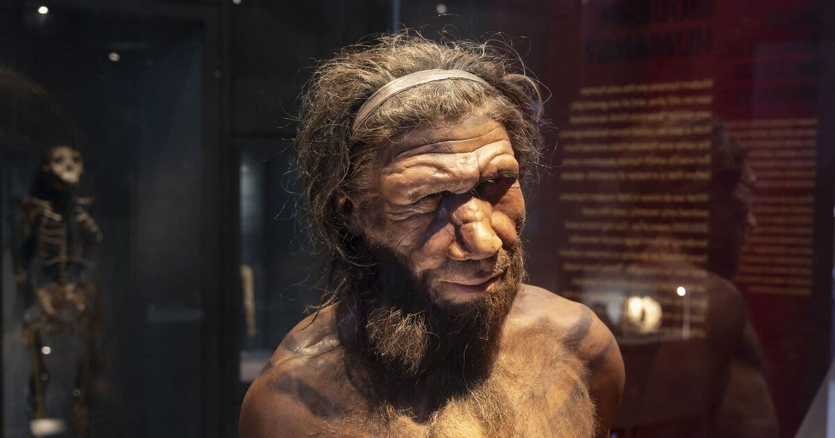 Archaeology breakthrough helps solve mystery of Neanderthal extinction