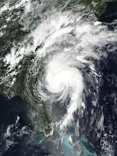 2020 Atlantic hurricane season