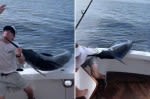 Terrifying moment fisherman is nearly impaled by flying Marlin in front of crew: ‘Close call’