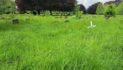 'It's heartbreaking' fume angry locals over 'overgrown' Coventry cemetery