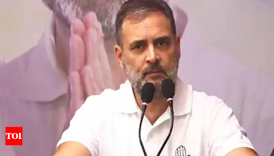 Every section of society is hurting, says Rahul Gandhi | India News - Times of India