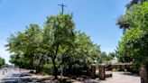 Phoenix wanted more shade trees by 2030, but is falling far short of goals. Here's why