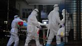 Boy, 14, dies of brain-swelling bat virus with 'pandemic potential’