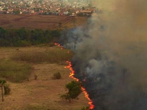 Governo Lula cria sala de situação para acompanhar queimadas, após aumento de focos no Pantanal