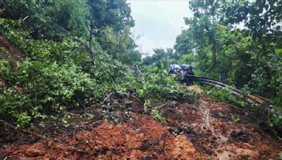 Karnataka landslide: Missing lorry driver's family seeks Army's help in rescue