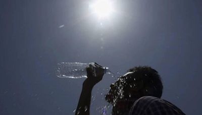 Heatwave Alert: Day After Delhi’s Najafgarh Trends As Hottest In Country, MET Flags Warning In North India Till May 21
