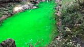 Rock Creek is turning green. Here's why