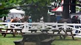 Belmont Stakes at Saratoga: Registration for reserved picnic table drawing begins Monday