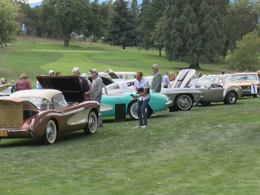 Gathering at the Oaks shows off cars for a good cause