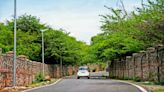 Key South Delhi roads to get a ‘green’ makeover