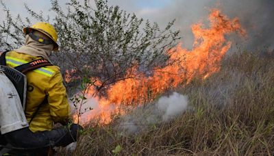 Condições climáticas no Pantanal hoje são mais severas do que em 2020, quando um terço do bioma queimou, diz governo do MS