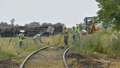 El Tren no volverá a Tandil: El gobierno de Javier Milei dejó caer una licitación clave