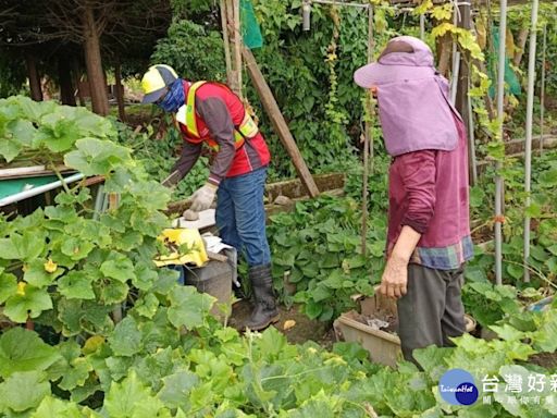 中市北區新增登革熱NS1快篩陽性個案 衛生局籲加強孳生源清除