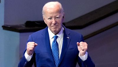 Disney heiress, others donors set to ’withhold funding’ as Joe Biden forges ahead with US Presidential campaign | Mint