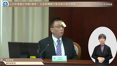 憲法法庭辯論 學者拿「便利貼黏額頭」比喻演示