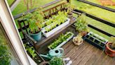 Short on yard space? There are plenty of vegetables you can grow in pots