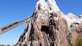 The Story Behind The Mass Grave Of Hair Ties Disney World Guests Leave On Expedition Everest