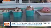 Serving up a cool treat with the Salty Paws Doggie Ice Cream Truck