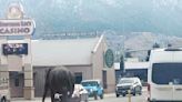 Spooked circus elephant roams Montana streets before being recaptured