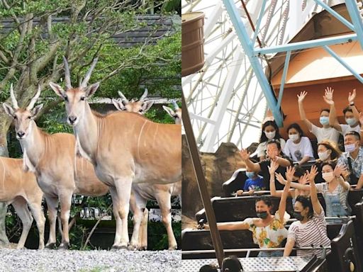 樂園優惠慶奪金》姓名含任一字享六福村門票299元！兒童新樂園免費入園 - 玩咖Playing - 自由電子報