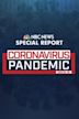 NBC News Special Report: Coronavirus Pandemic